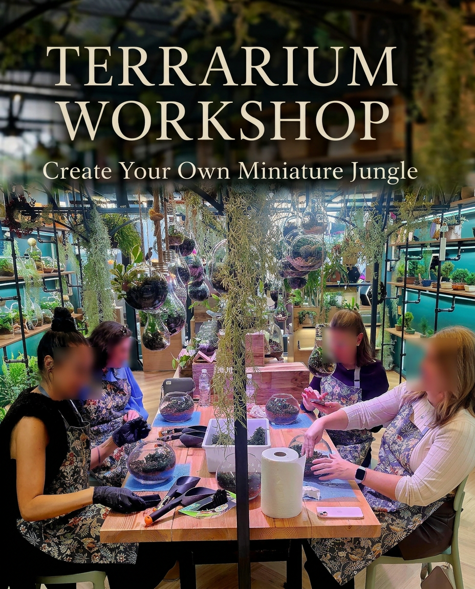 Terrarium Workshop Melbourne – Create Your Own Mini Garden (Hands-On E