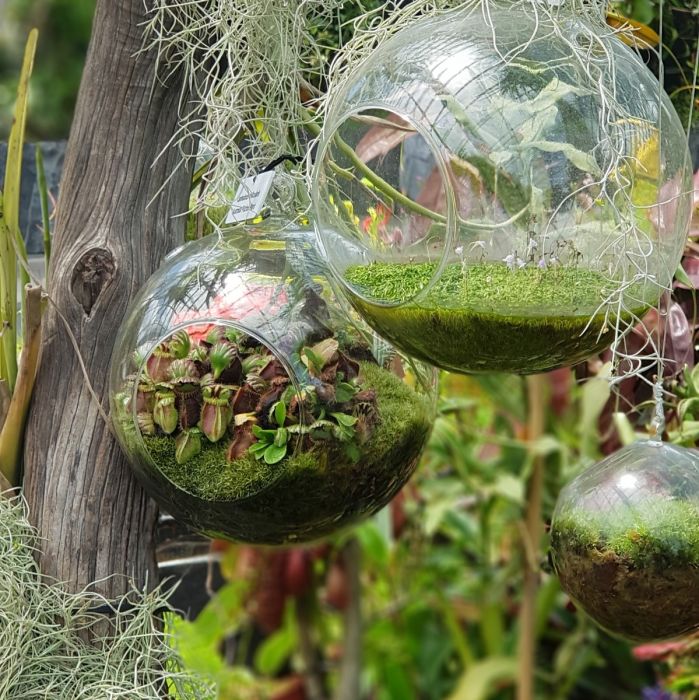 Terrarium Glassware Range - Glass hanging balls (flat bottom)