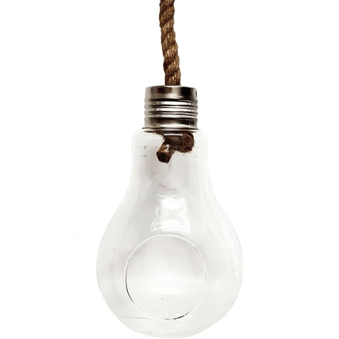 Terrarium Glassware Range - Hanging light bulbs (flat bottom)