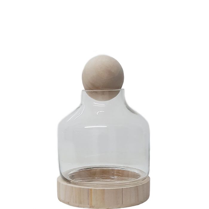 Terrarium Glassware Range - Woody