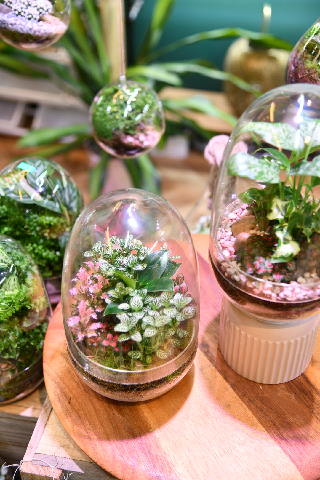 The Egg – Enclosed Terrarium