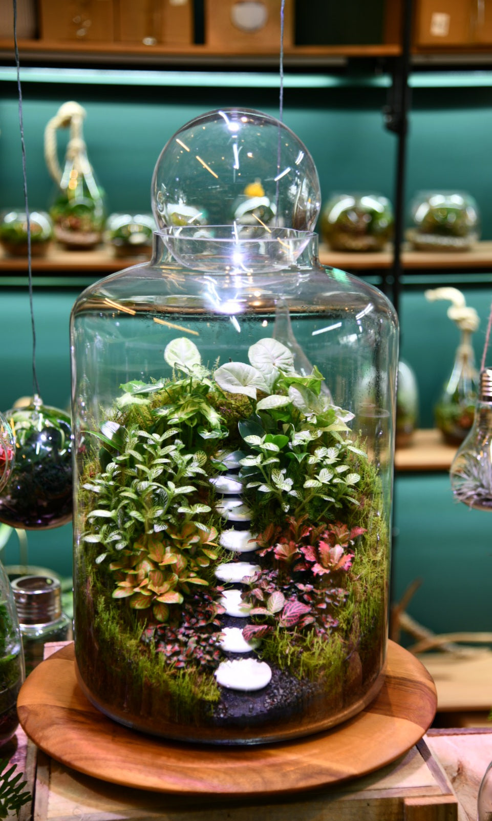 Large Enclosed Glass Terrarium – Woodland Style Indoor Plant Terrarium (Dome) – Low Maintenance