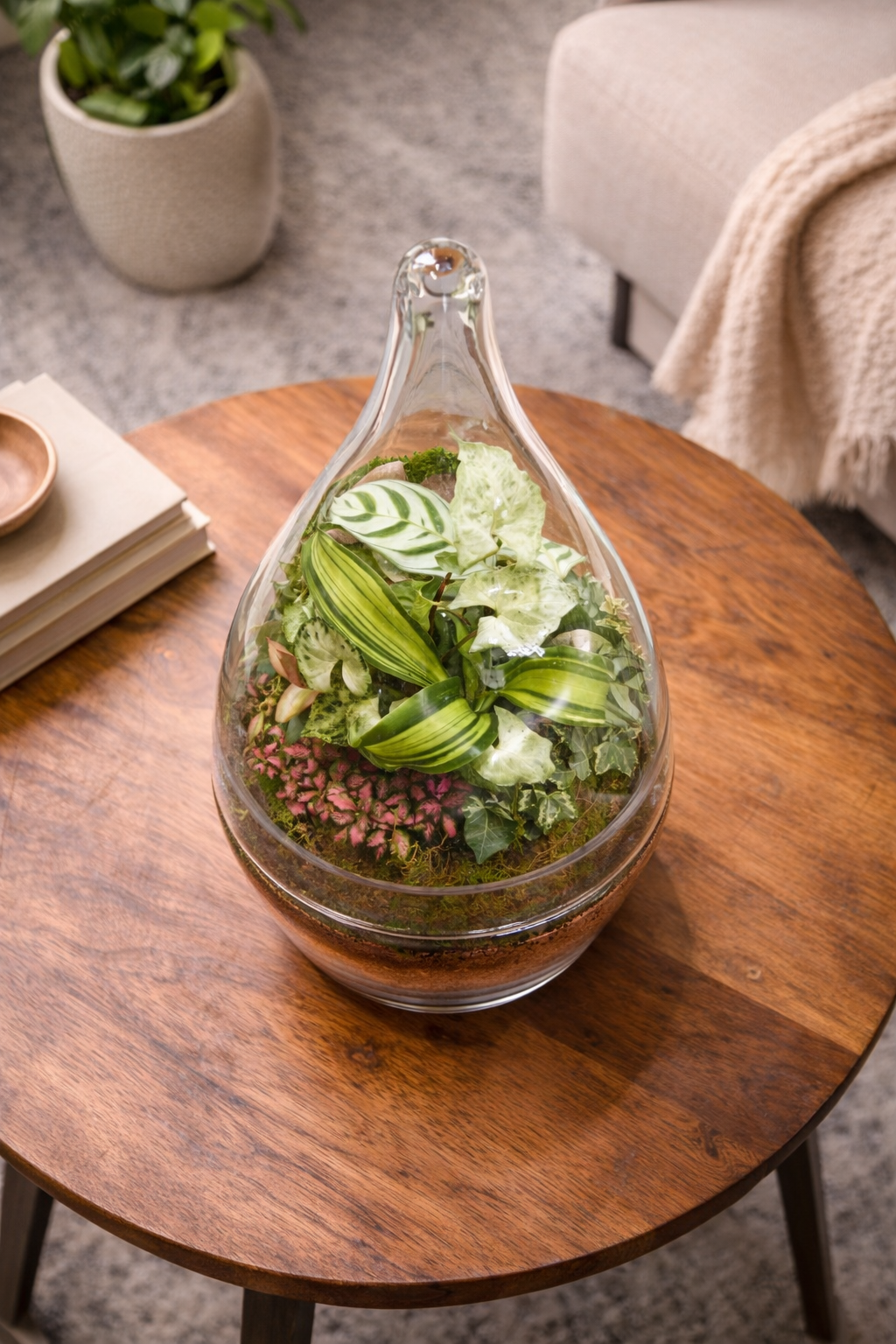 Enclosed Teardrop Terrarium