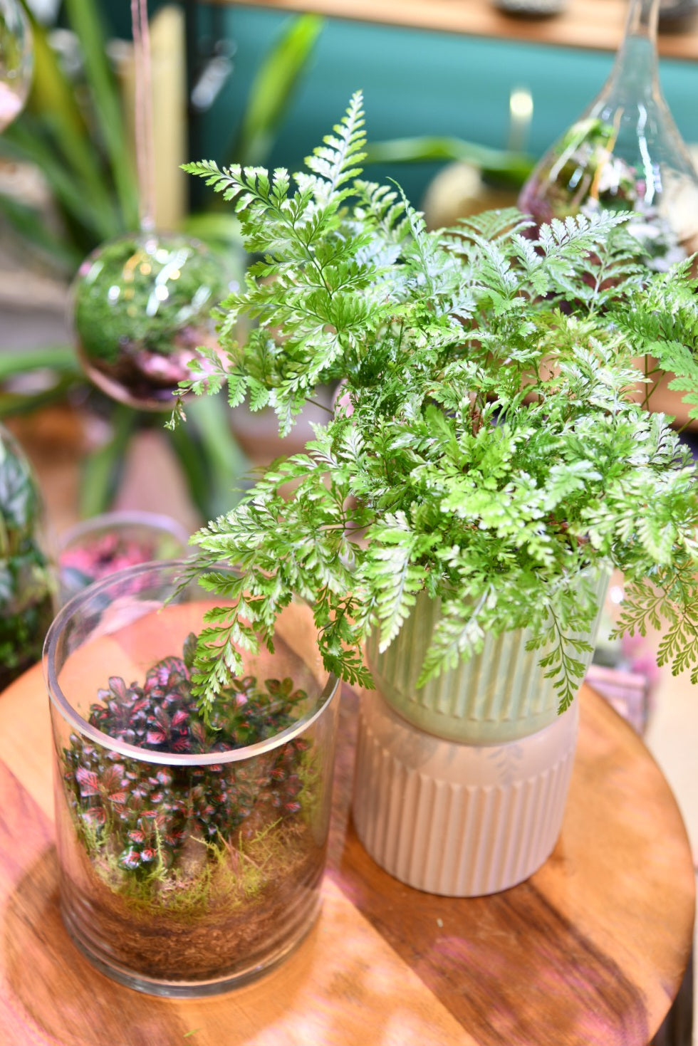 Mini Glass Terrarium – Hurricane Style Enclosed Indoor Plant (16cm)