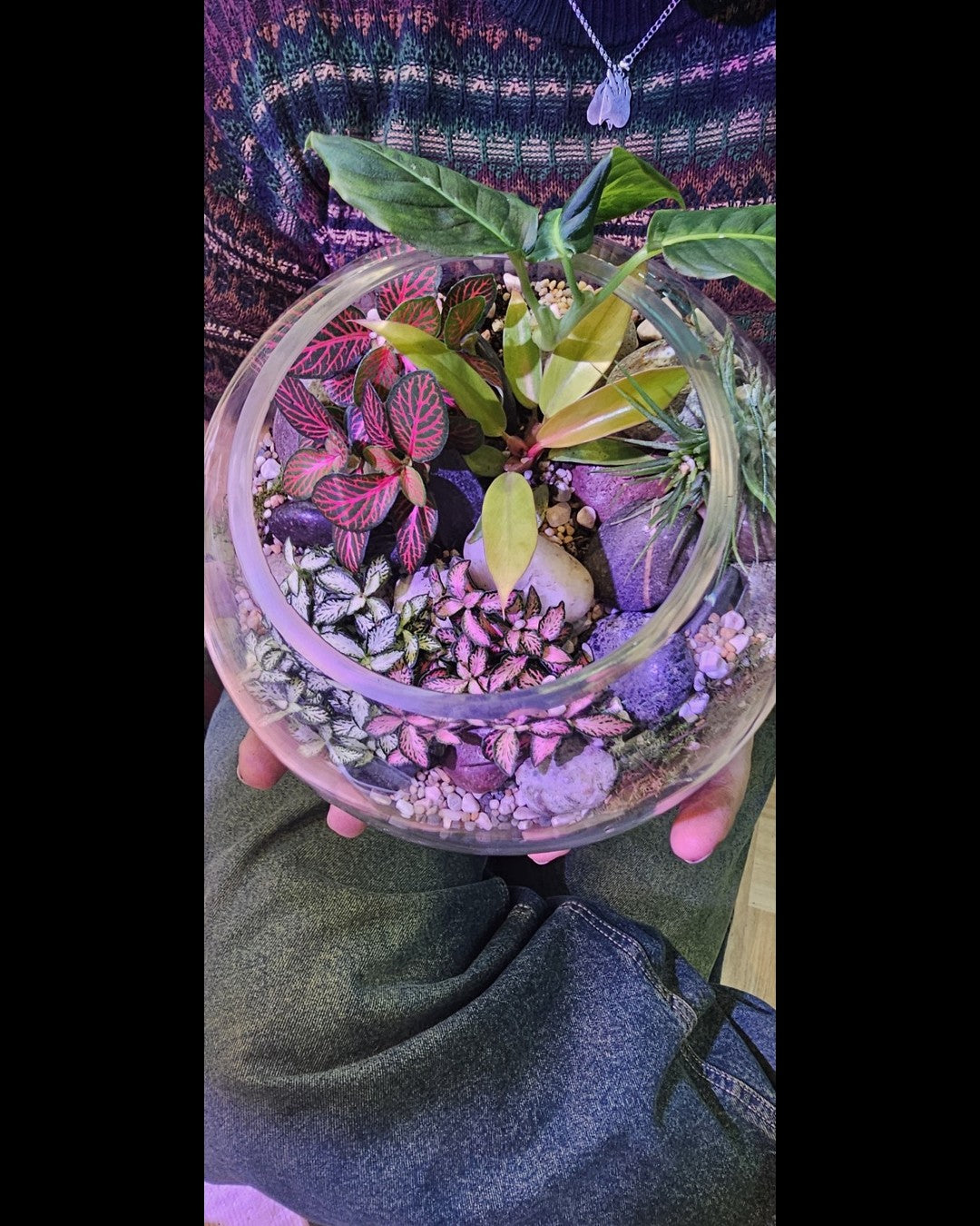 Terrarium Workshop – Create Your Own Miniature Garden