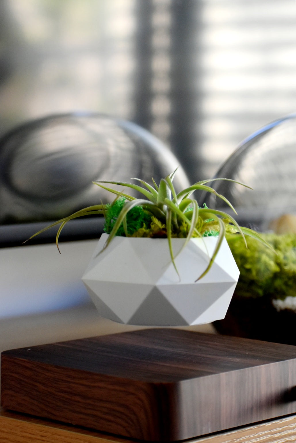 Pot Planter | Levitating 