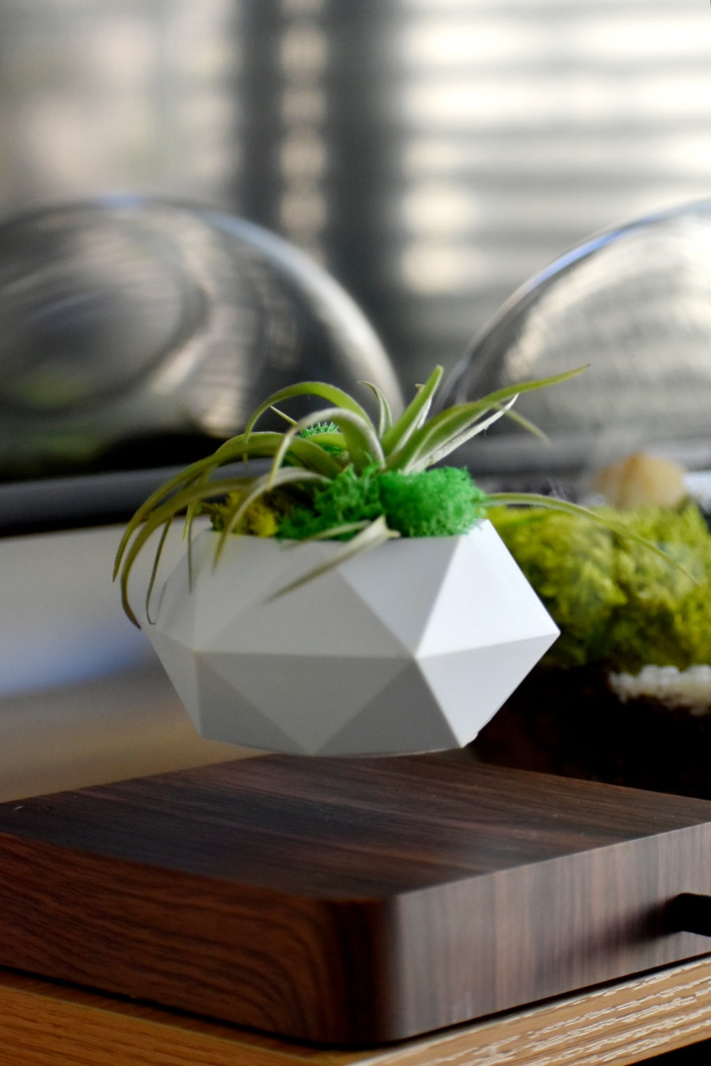 Pot Planter | Levitating 