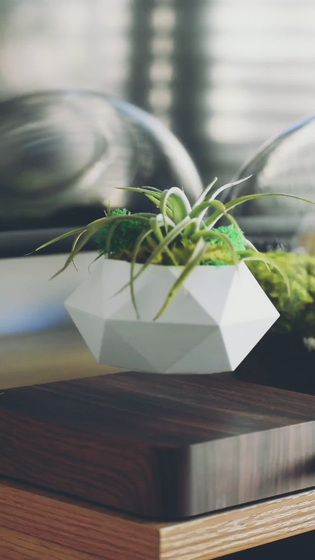 Pot Planter | Levitating 