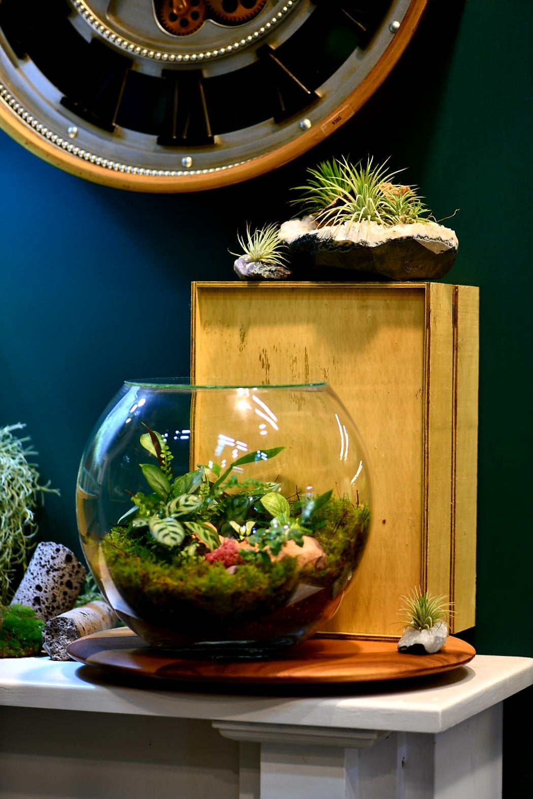 Enclosed Large Fishbowl Terrariums (Ready-made or DIY)