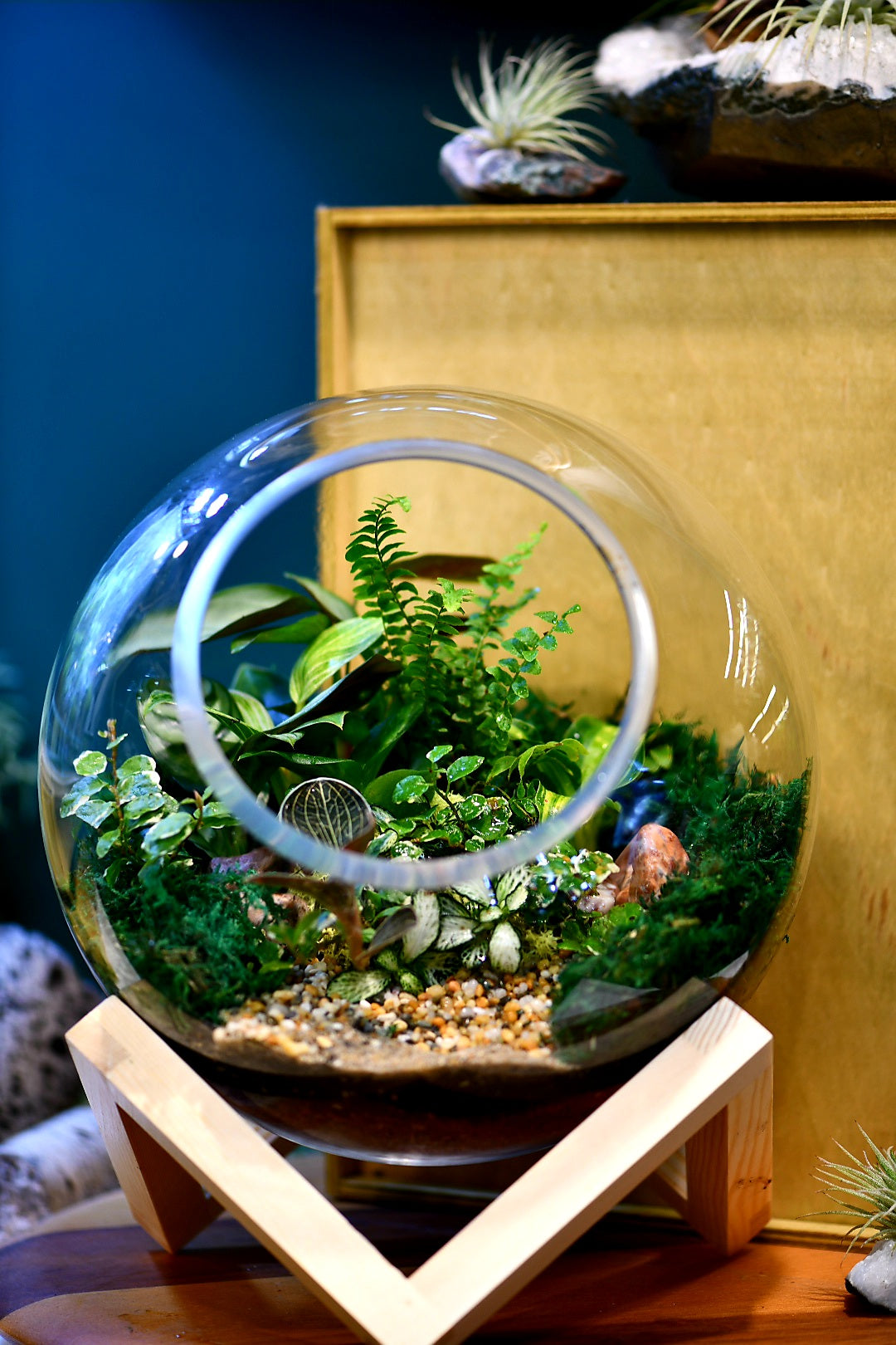 Bowl on Base Terrarium