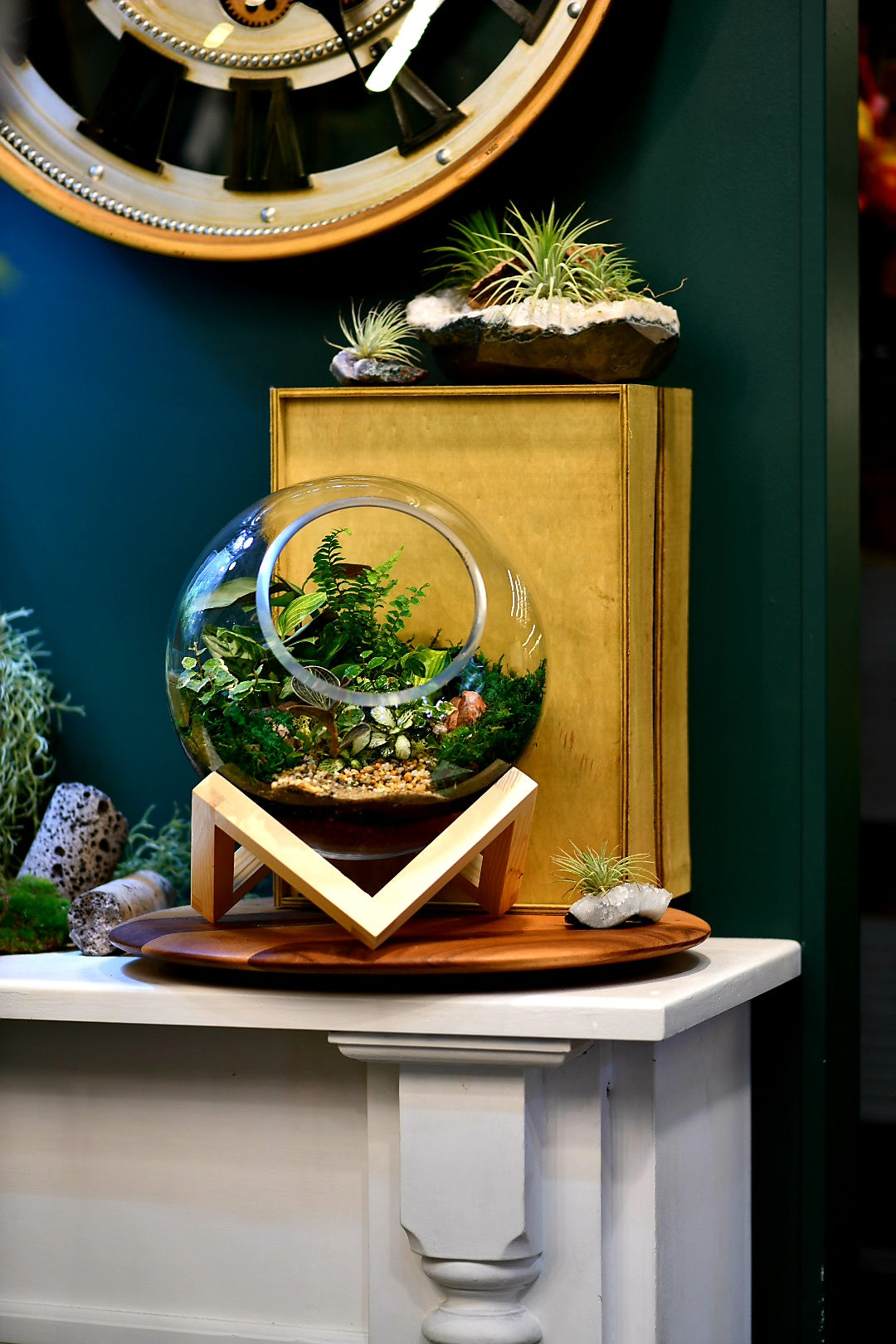 Bowl on Base Terrarium