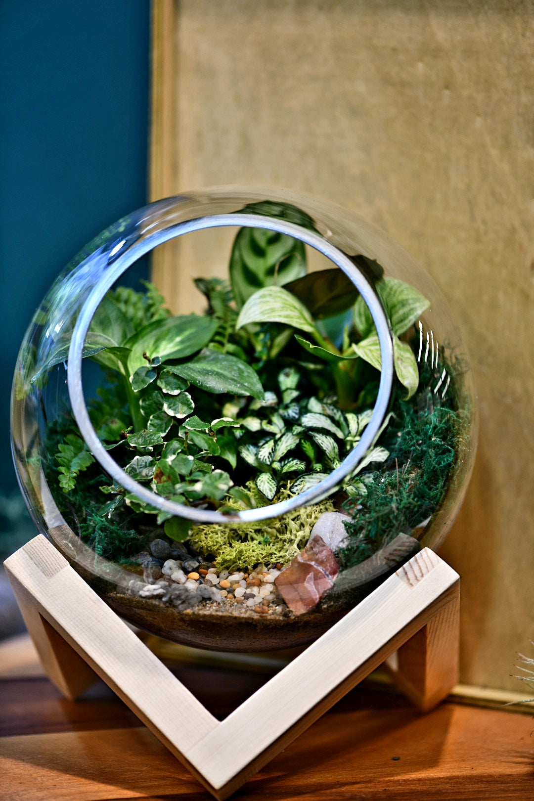 Bowl on Base Terrarium