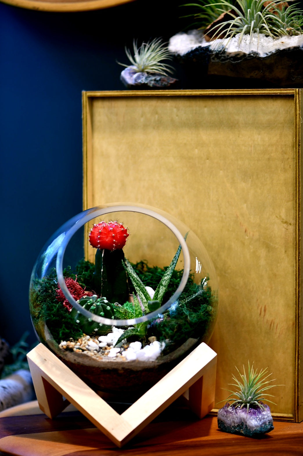 Bowl on Base Terrarium