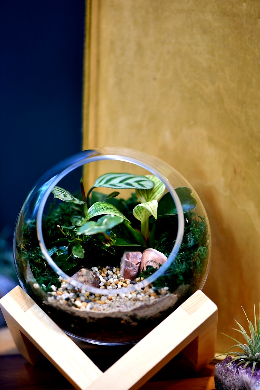 Mini Bowl on Base Terrariums (Ready-made or DIY)