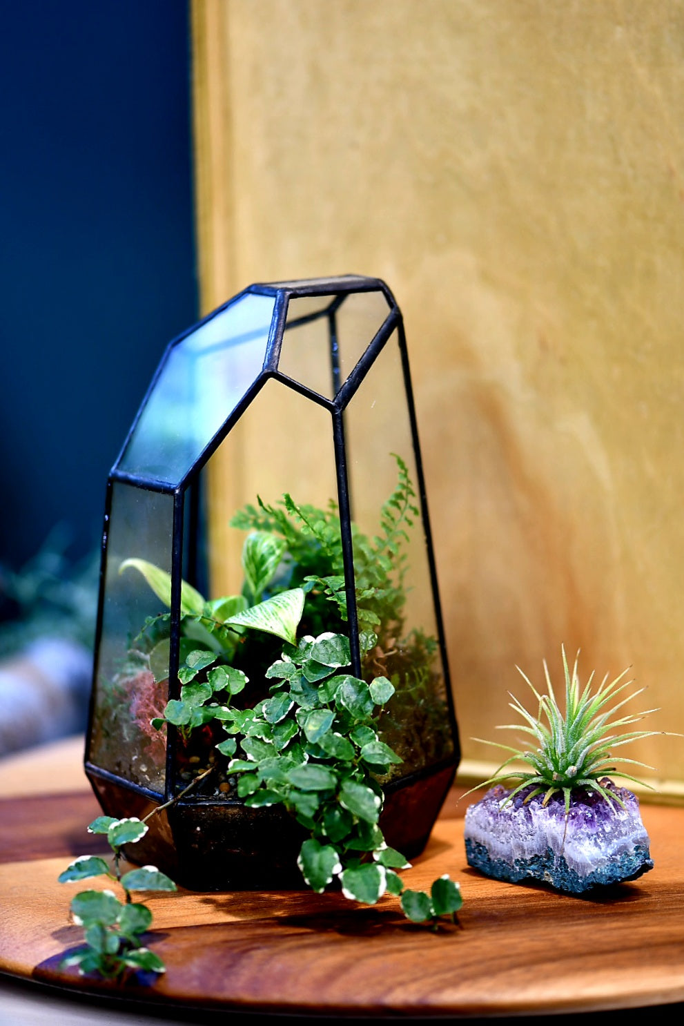 Mini Geometric Terrarium