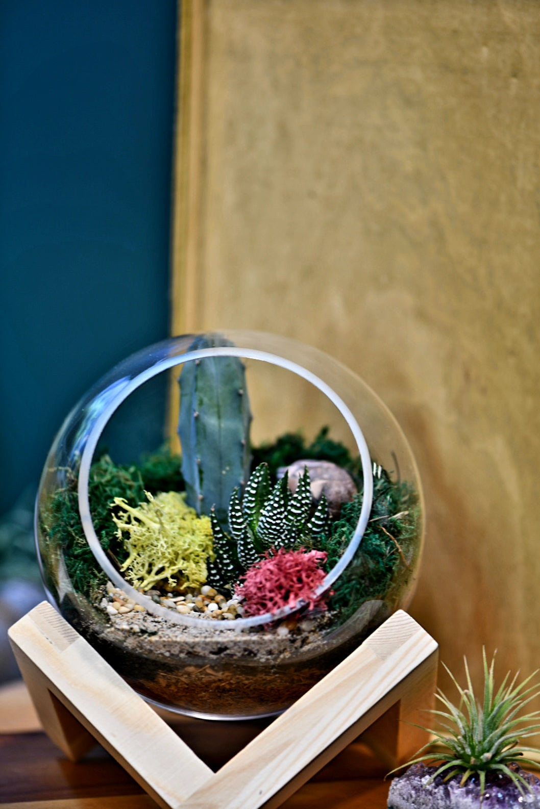 Mini Bowl on Base Terrariums (Ready-made or DIY)