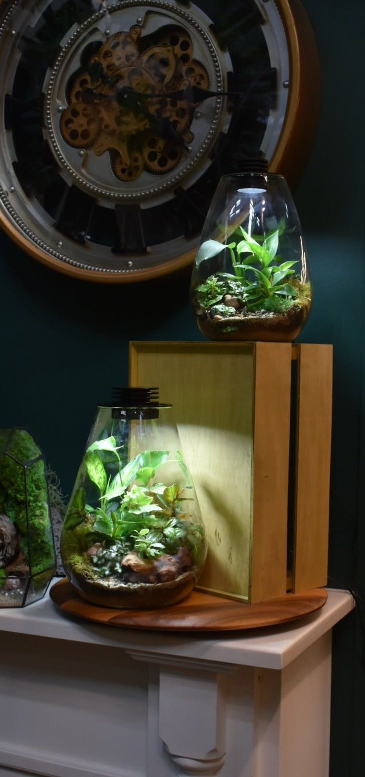 Terrarium LED