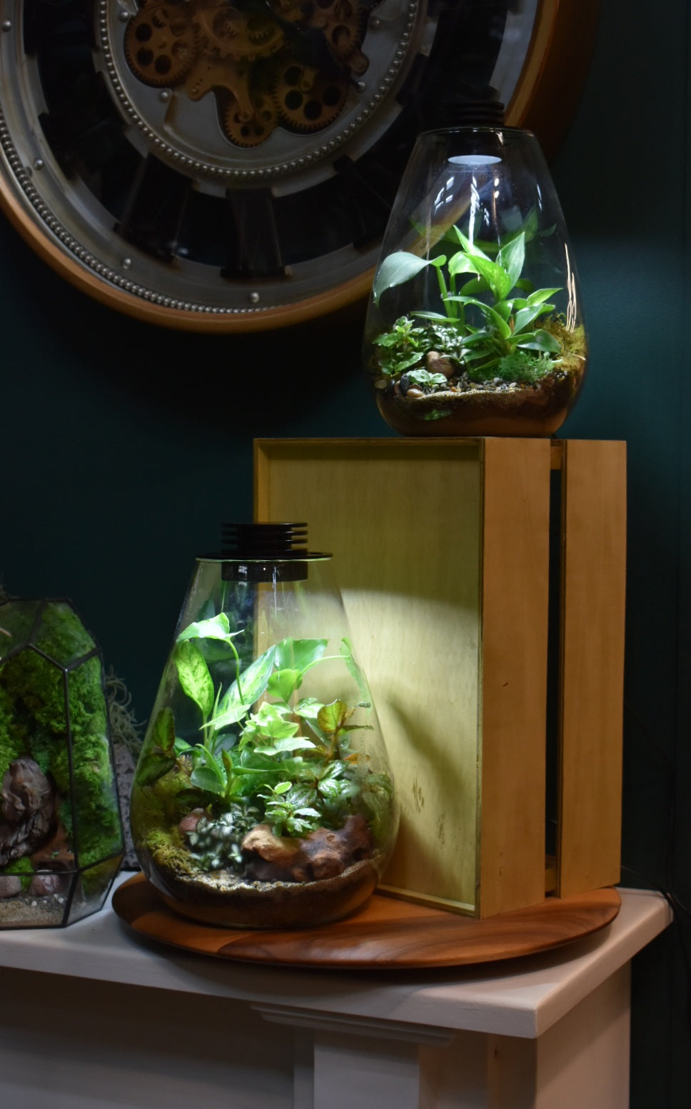 Terrarium LED