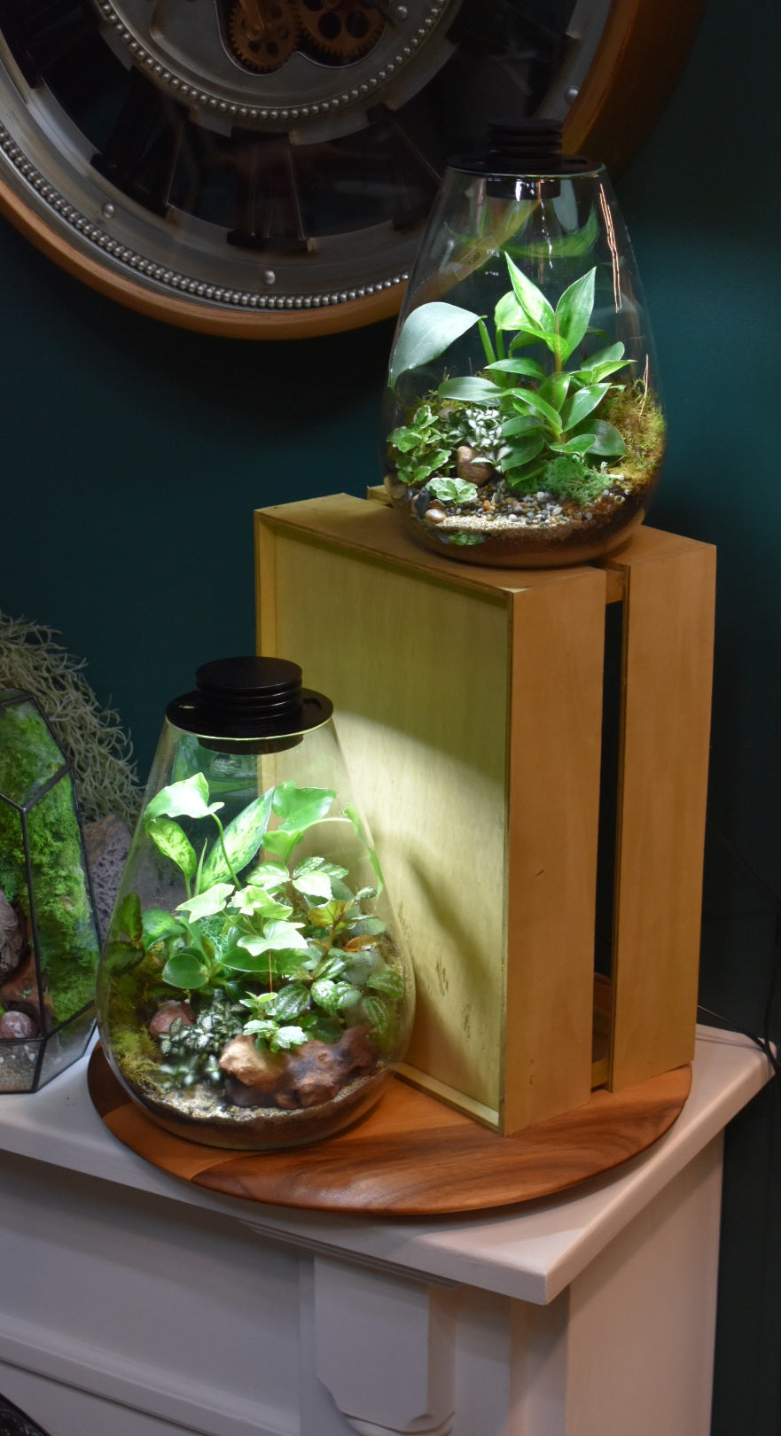 Terrarium LED