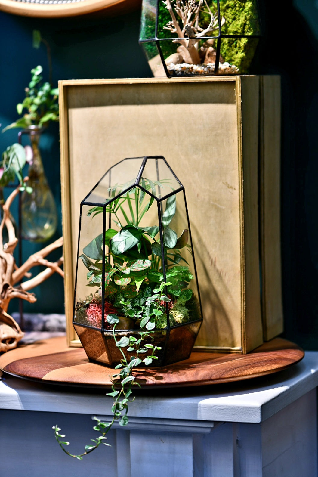 Geo Terrariums (Ready-made or DIY)