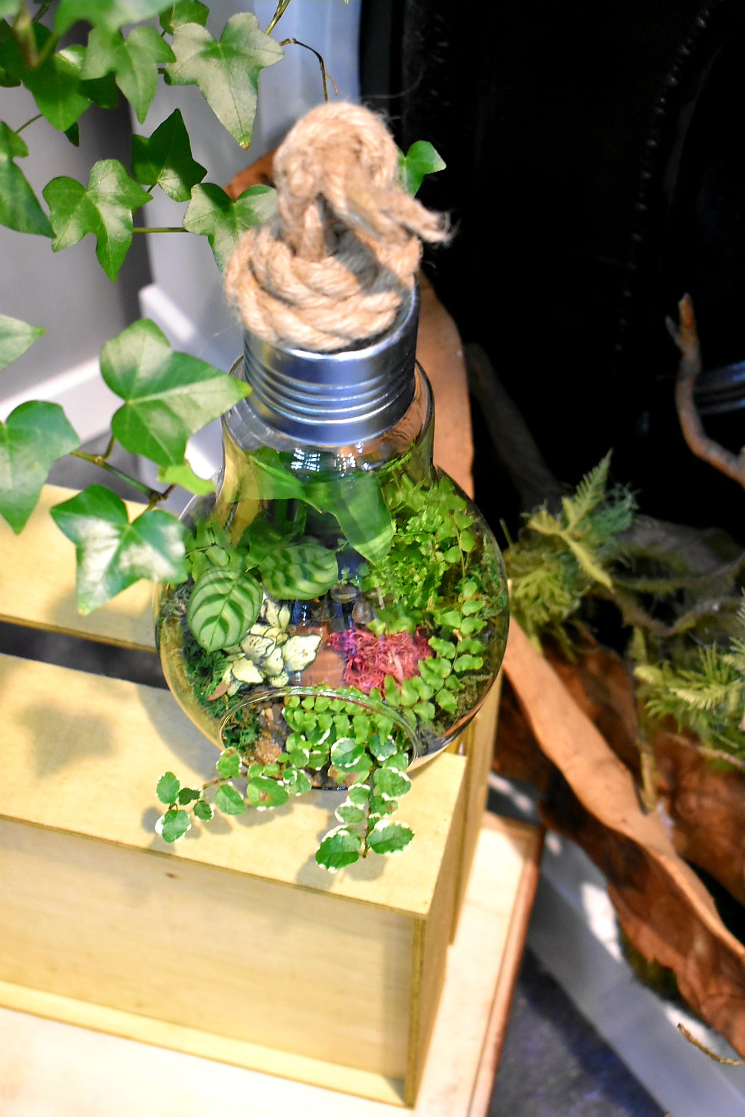 light bulb terrarium