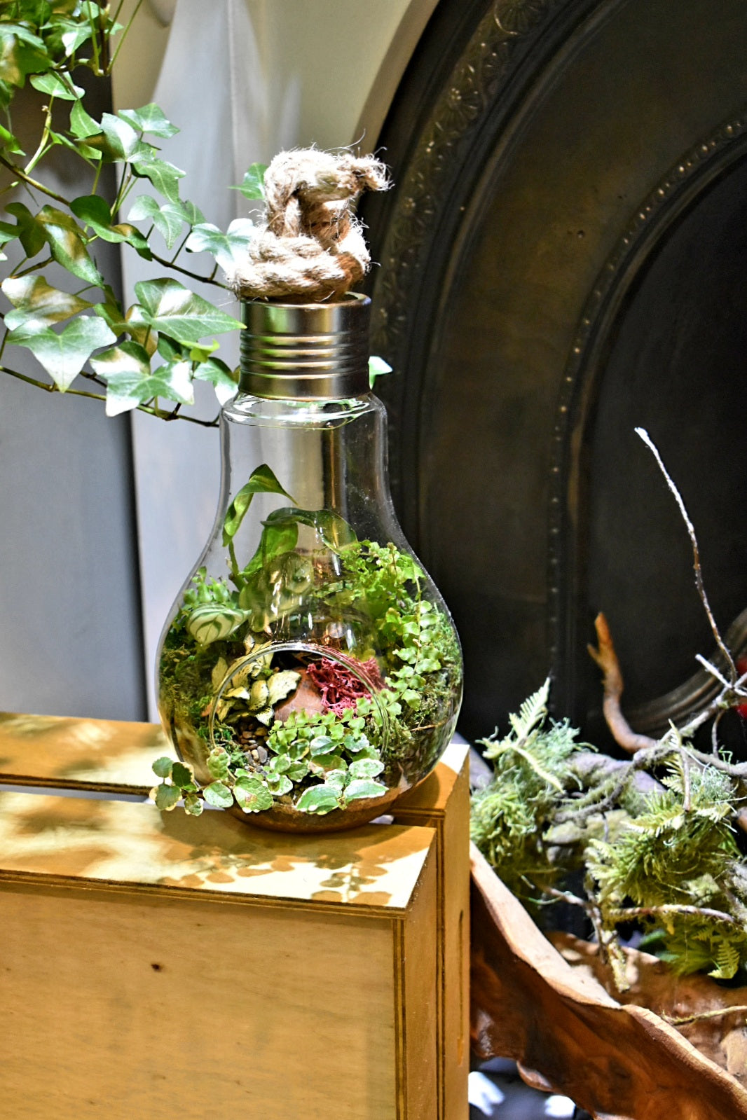 light bulb terrarium