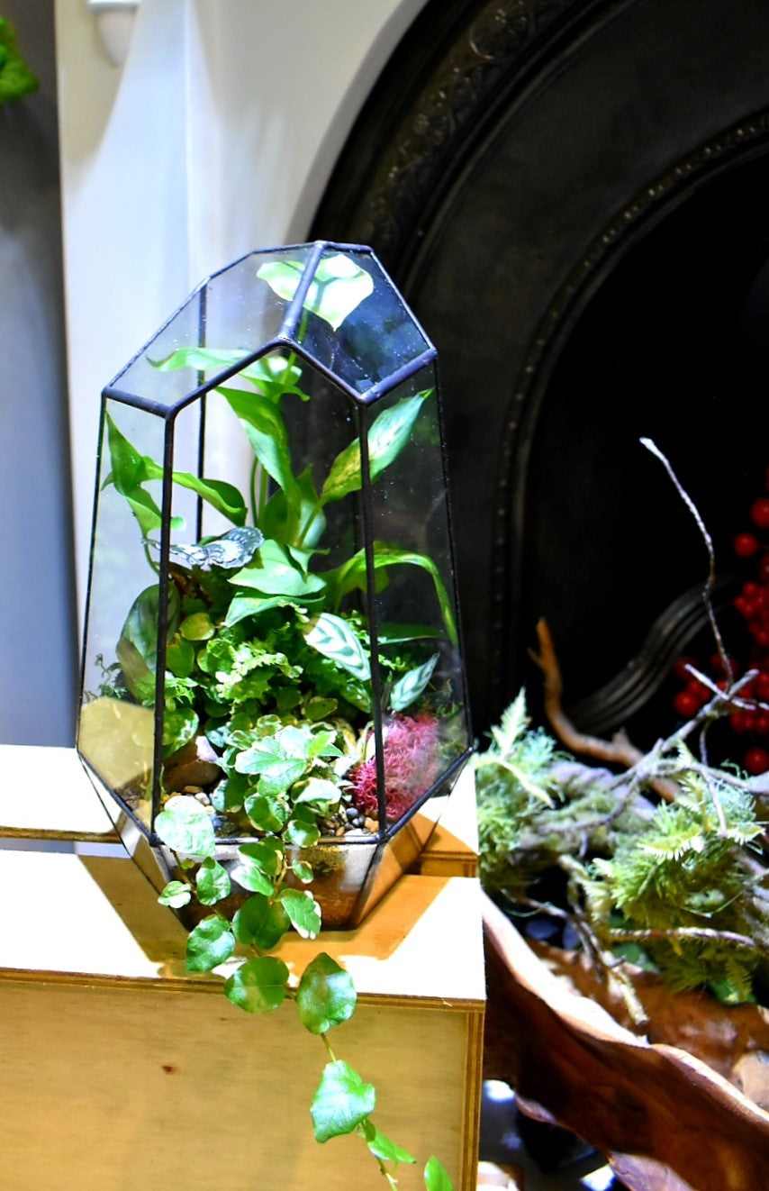 Geo Terrarium