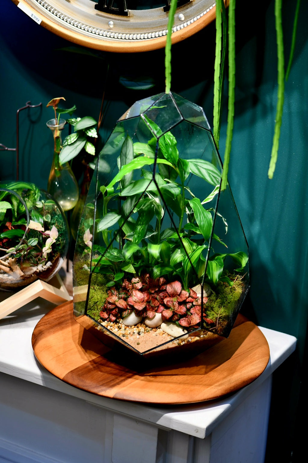 The Spaceship Terrarium