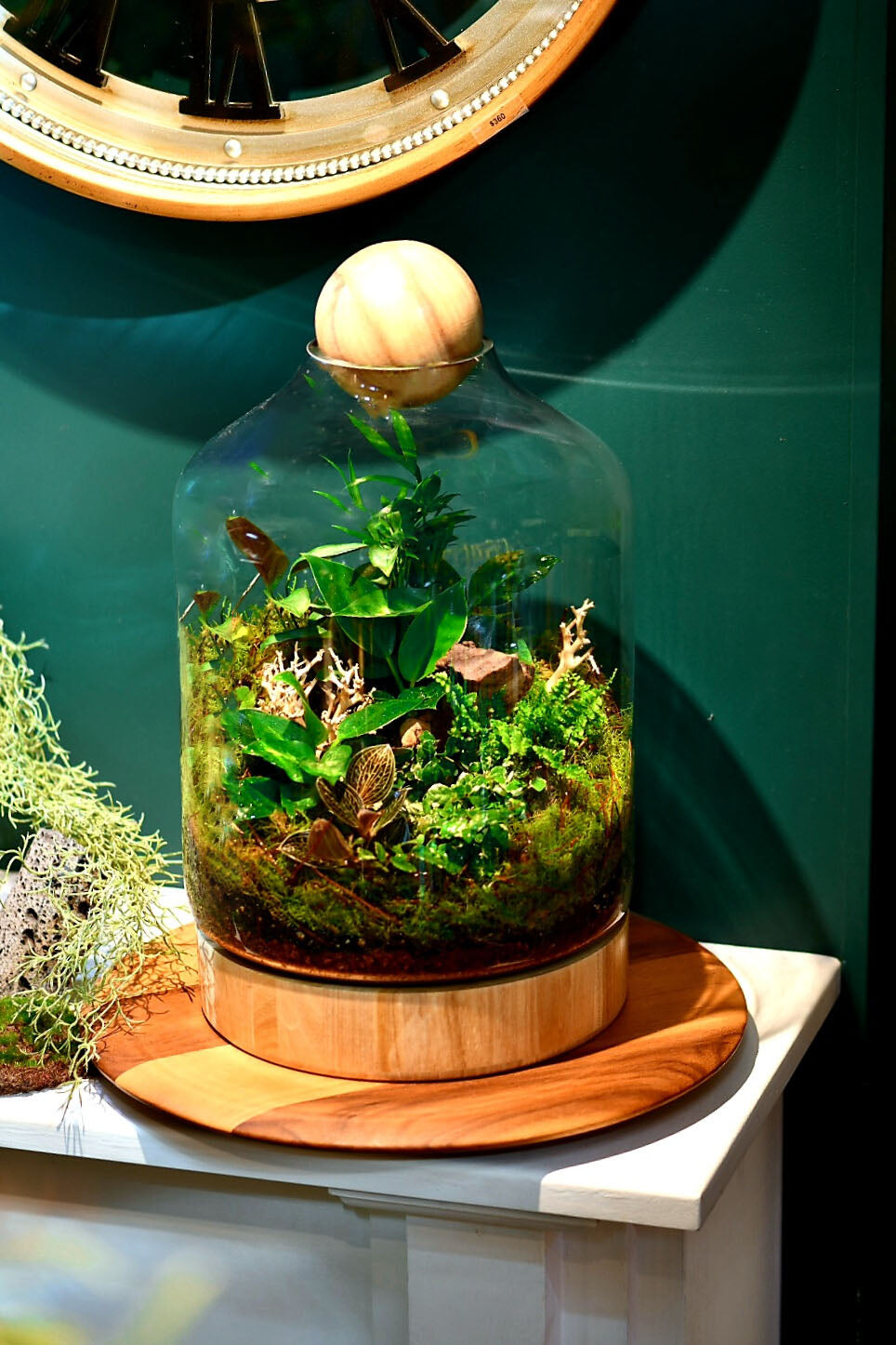 Large Terrarium Melbourne