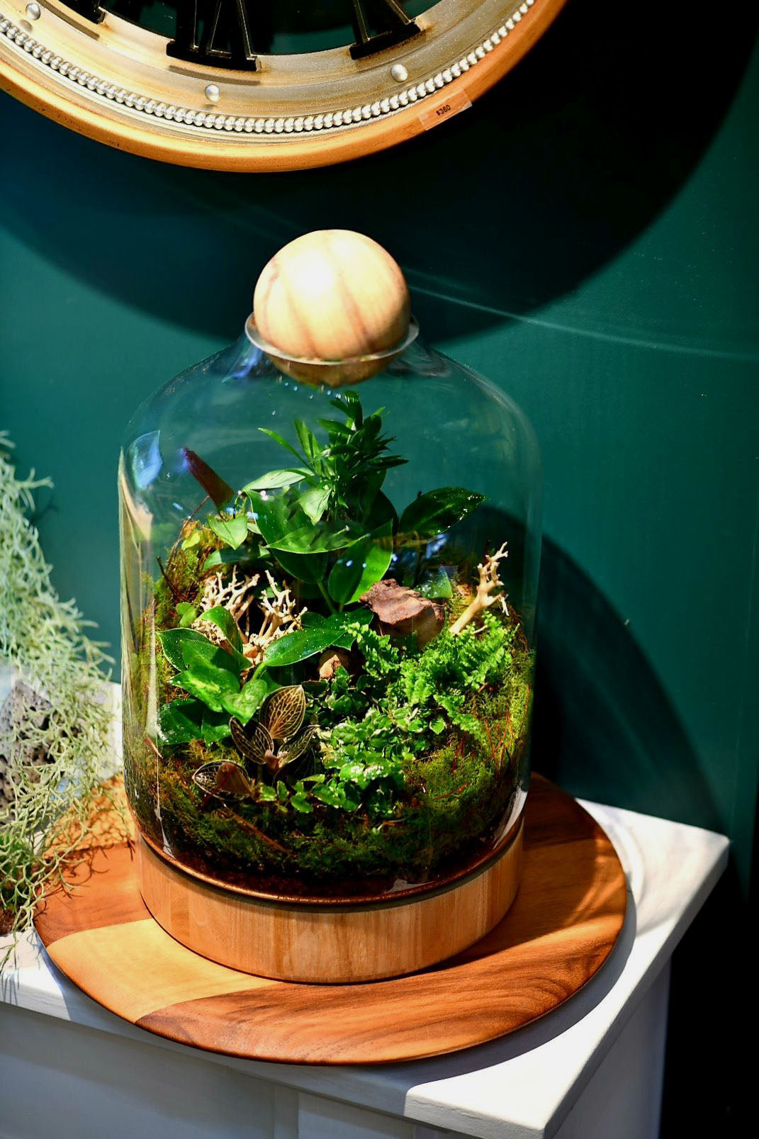 Large Terrarium Melbourne