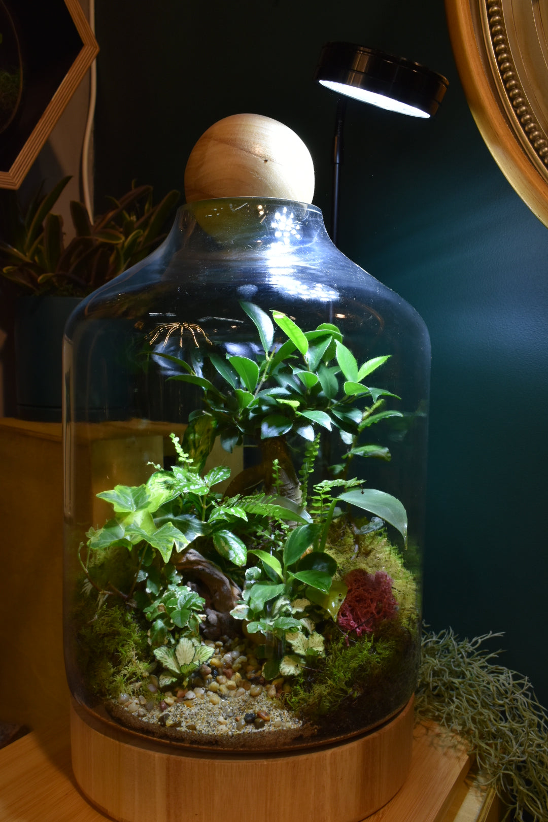 Terrarium Lights