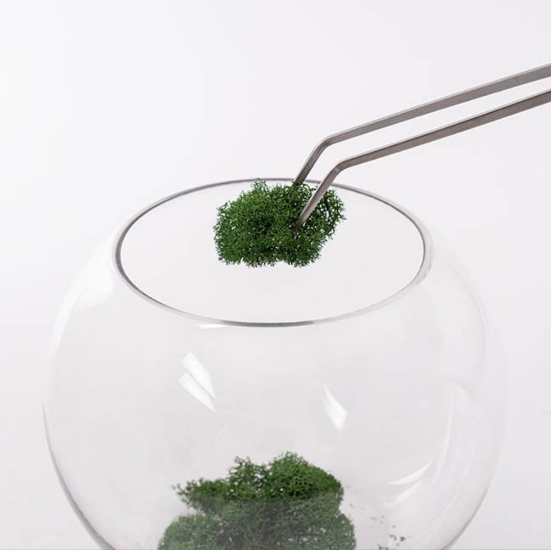 Terrarium Tools