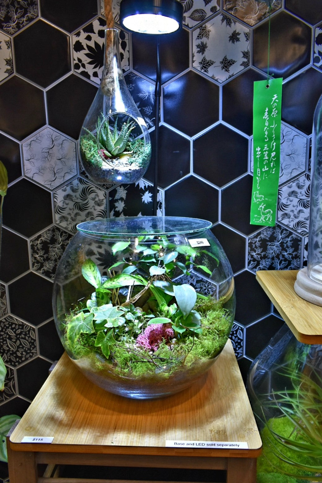 Terrarium Lights